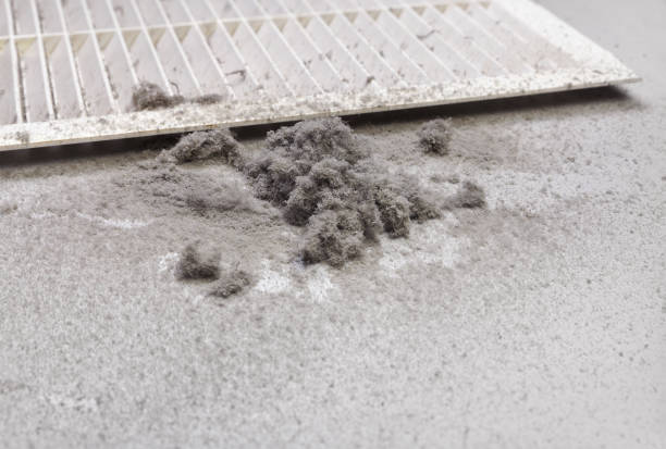 Best Ventilation Cleaning Services  in , SD