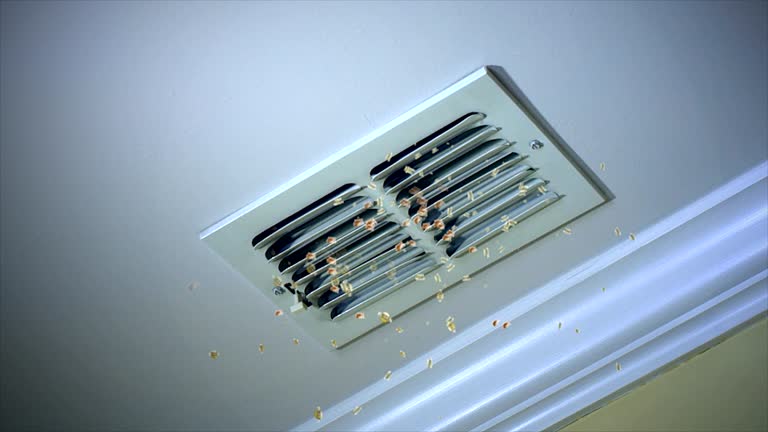 Best HVAC Air Duct Cleaning  in , SD